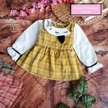 Load image into Gallery viewer, Ls Dress Shizuka Lavie
