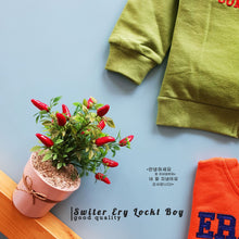 Load image into Gallery viewer, LS SWITER ERY LOCKT BOY