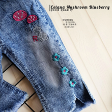 Load image into Gallery viewer, LS Celana Mushroom Blueberry