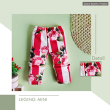 Load image into Gallery viewer, LS Leging Mini