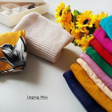 Load image into Gallery viewer, LS Leging Mini