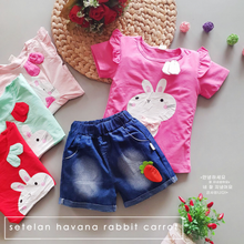 Load image into Gallery viewer, LS Setelan Havana Rabbit Carrot