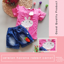 Load image into Gallery viewer, LS Setelan Havana Rabbit Carrot